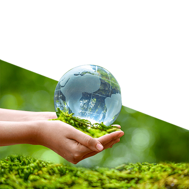 Environmental Services